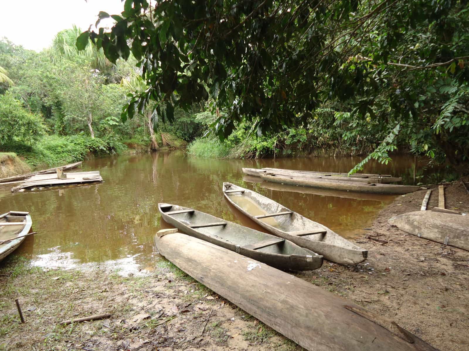 kanoe amazon dzungla peru